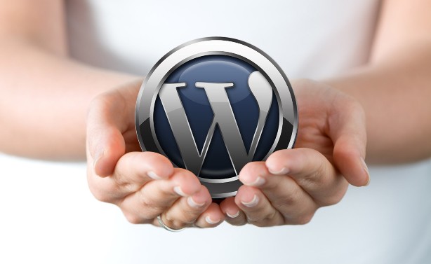 Improve WordPress Skills – A Guide to WordPress Outsourcing